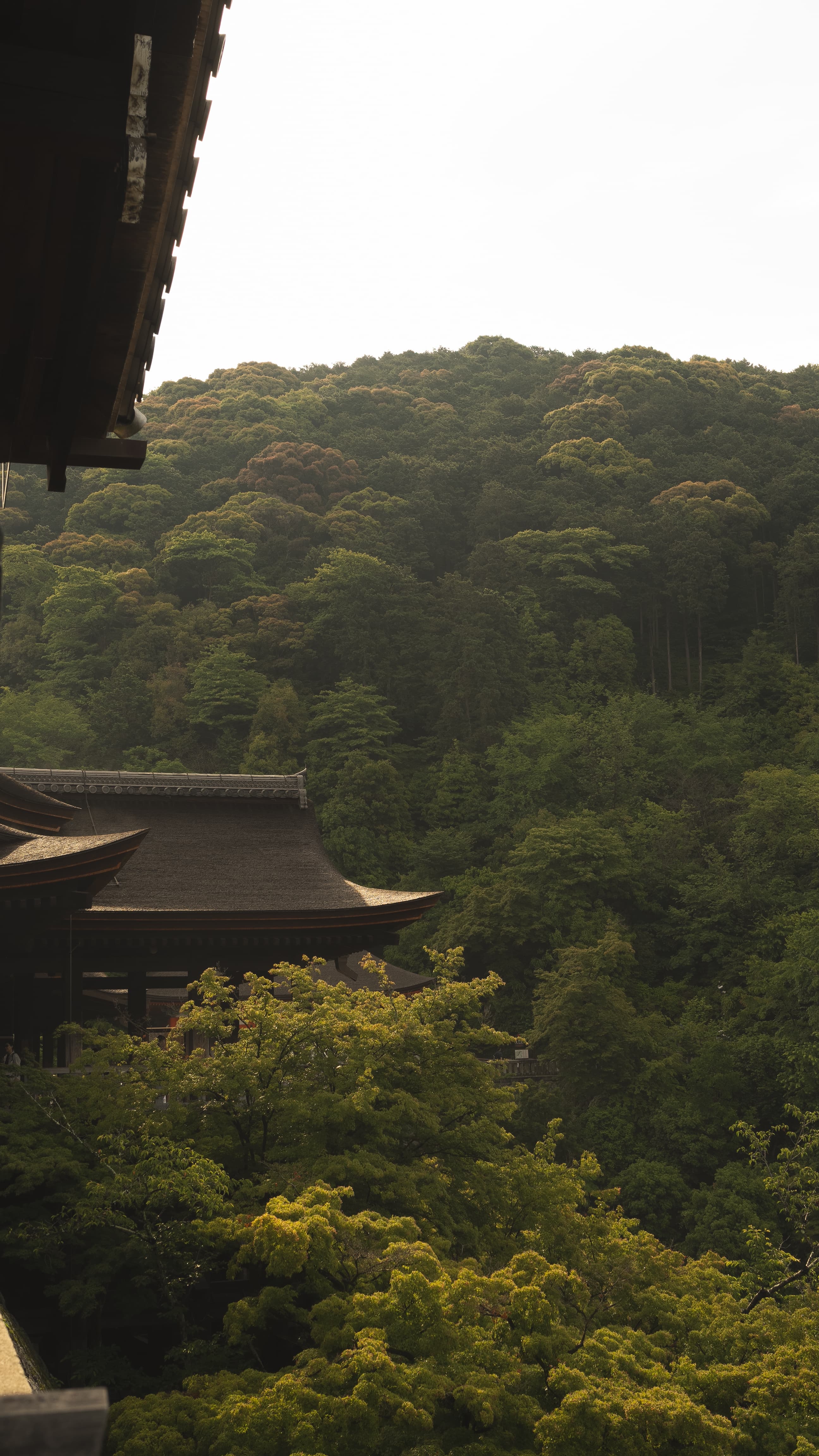 Carousel Main Image 3